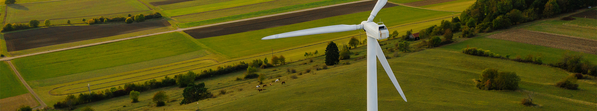 8 Green innovations for a green business