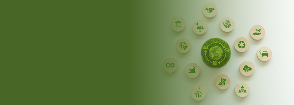 carbon-conscious commerce: rethinking business strategies for a sustainable future