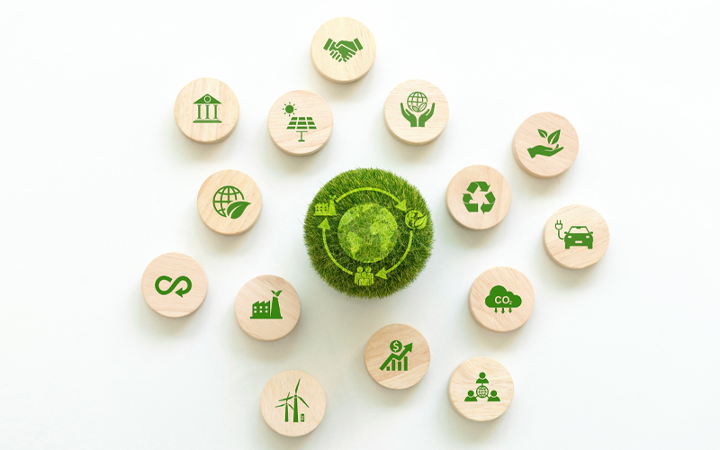 carbon-conscious commerce: rethinking business strategies for a sustainable future 