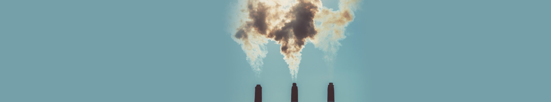 How can carbon footprint analytics enhance your brand’s reputation and customer loyalty?