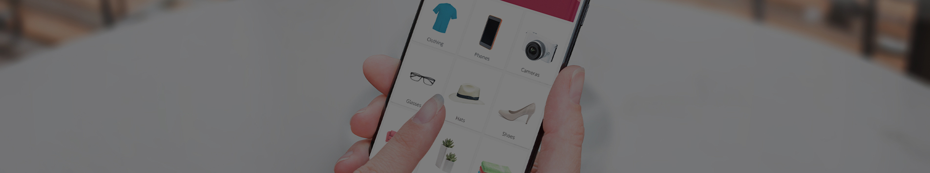 Successful Strategies for Category Plan Execution