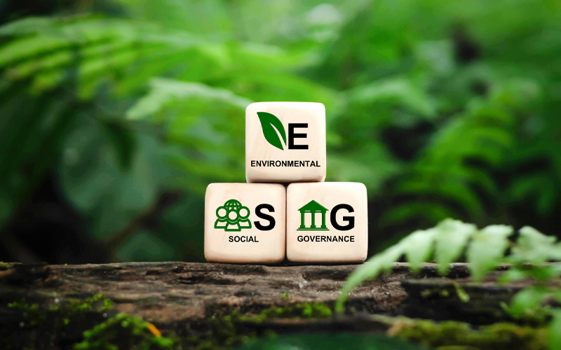 Climate risk analytics and ESG modelling for insurers 
