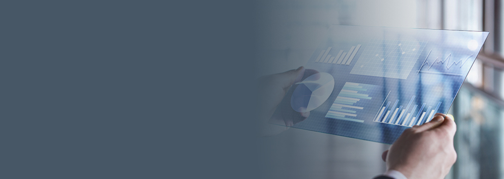 Financial Data annotation services for the finance industry