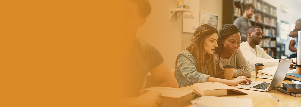 Decoding the network of frauds in the world of Education