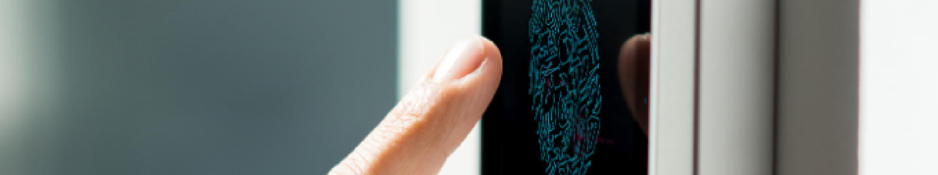 Driving eco-friendly operations: The role of RPA in sustainable business practices