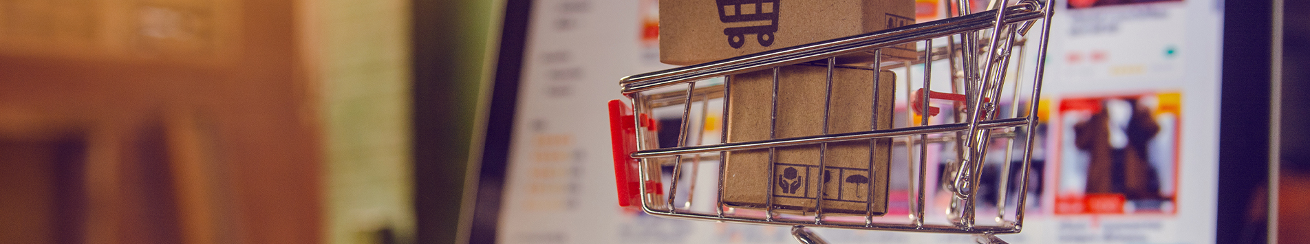 Types of eCommerce marketplaces and their challenges