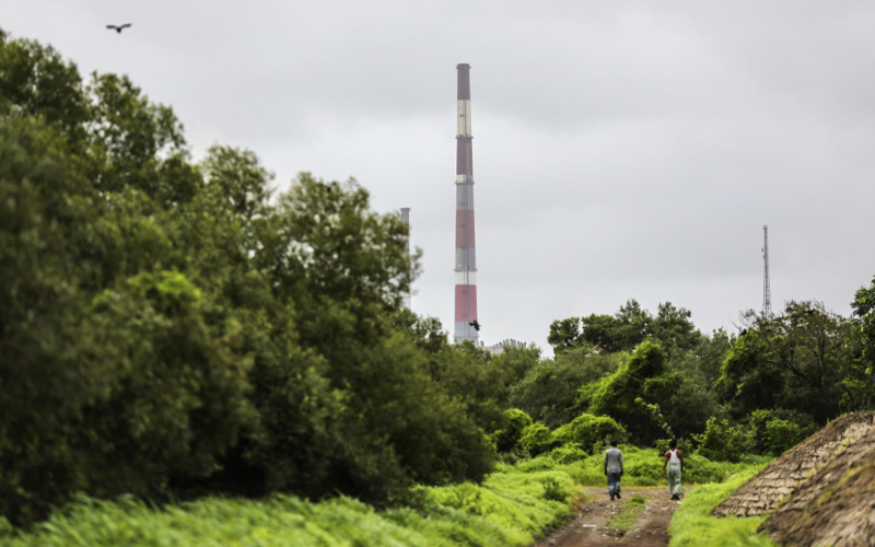sustainability in global capability centres: embedding ESG into operations  