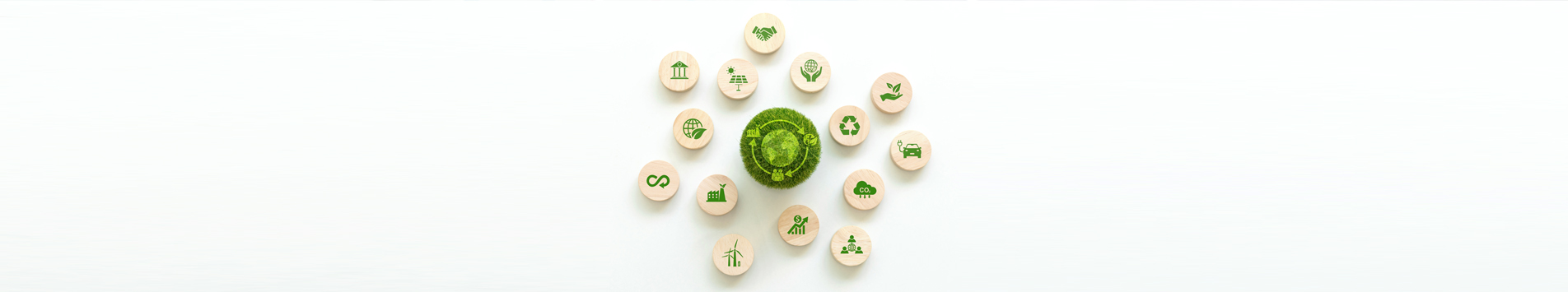 Green Procurement Goals for 2025 vs. 2024: Key Changes and Expectations