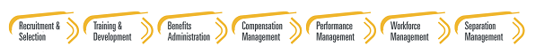 procurement-advisor