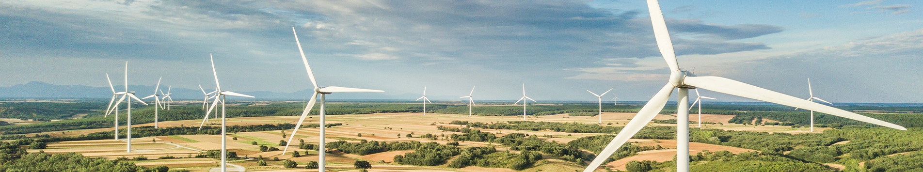 Sustainable energy management solutions: Empowering a greener future