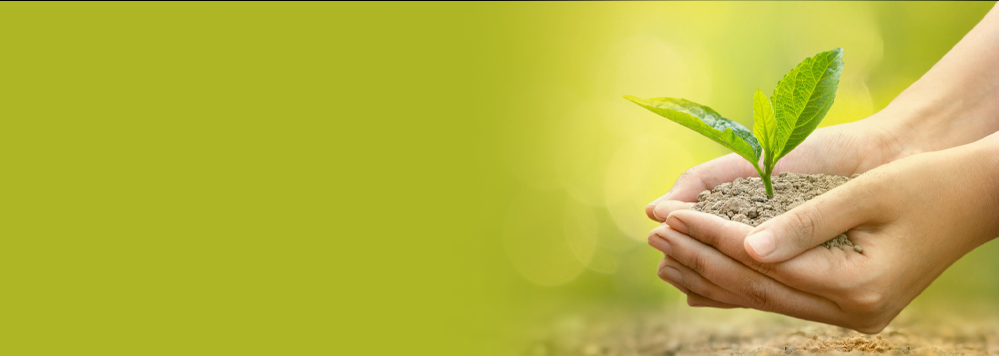 the cost of ESG in procurement and how to control it 