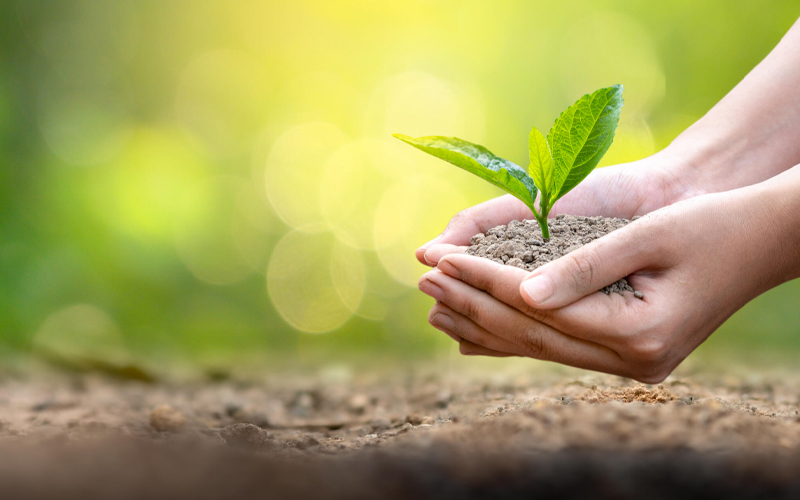 the cost of ESG in procurement and how to control it  