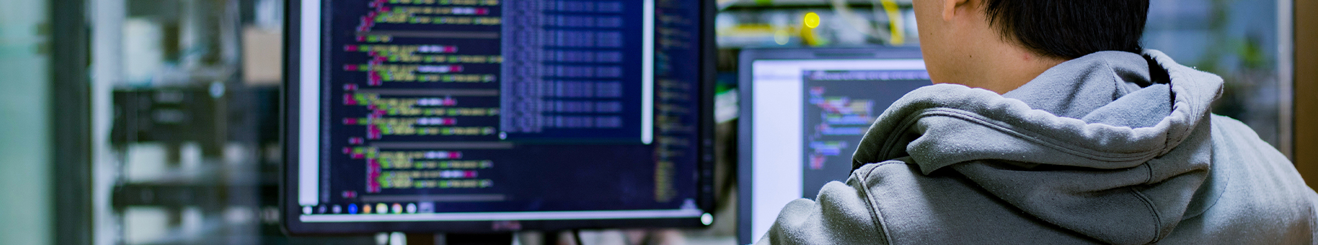 The Evolving Landscape of Skills in the IT Industry