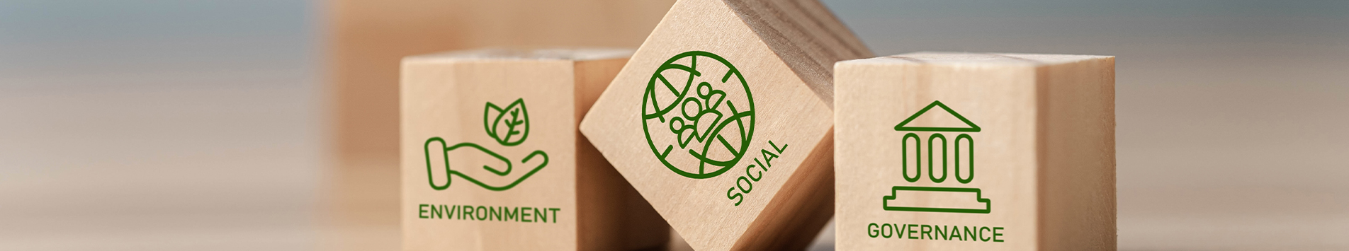 The predictive power of ESG for insurance