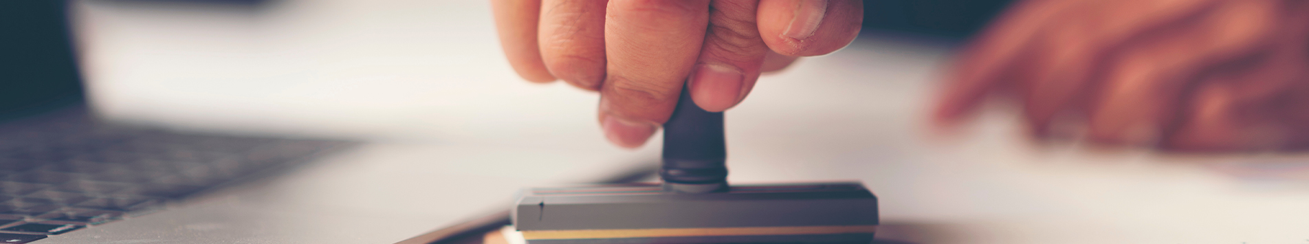 The role of LPO in predictive coding