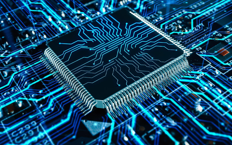 Unraveling the data universe: How real-world actions shape its growth