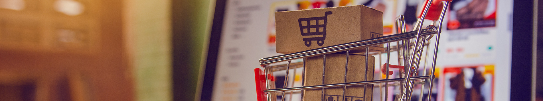 The role of web analytics in e-commerce: Insights for online retailers