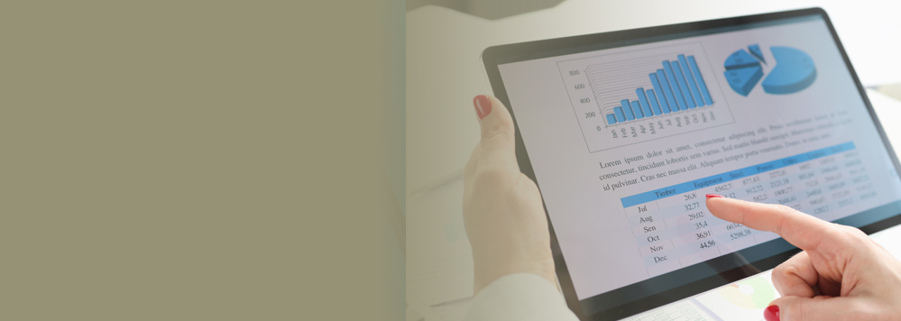 What's included in virtual CFO services?