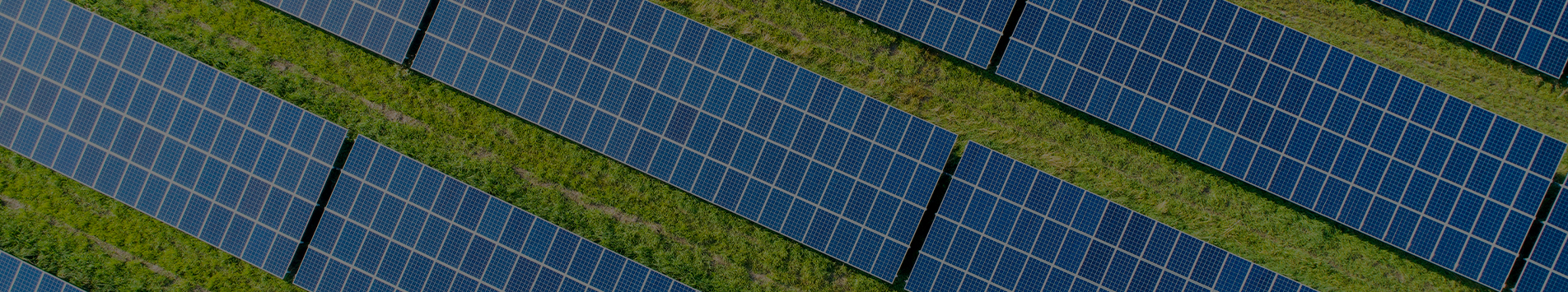 Why sustainability matters for every CPG company?