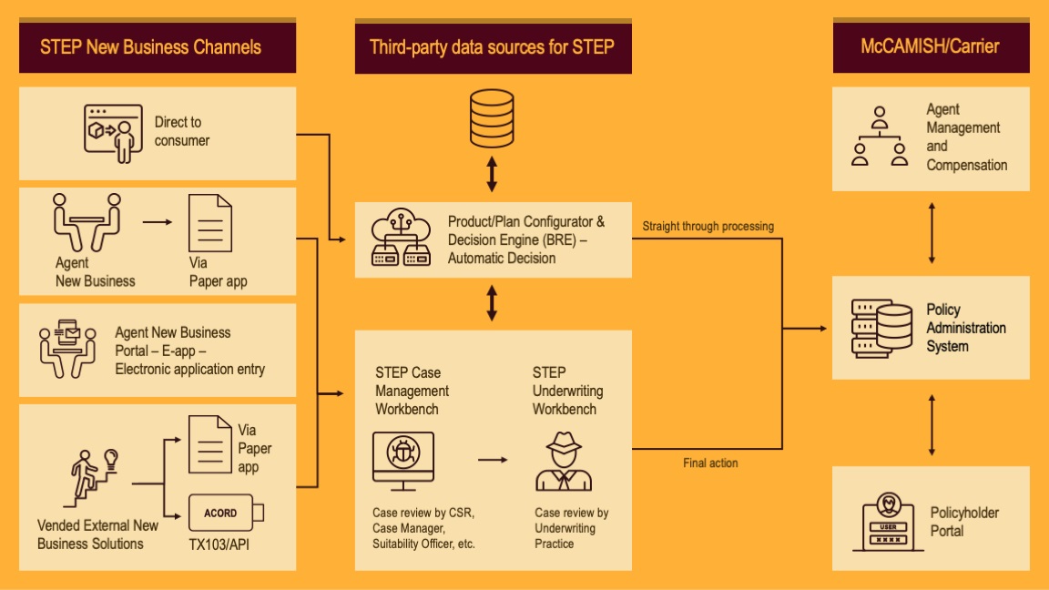 A rule-free workflow for the automated generation of databases