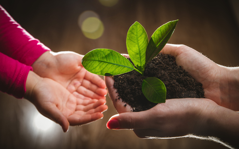 Sustainability Adoption – A Journey Towards Employee Empowerment