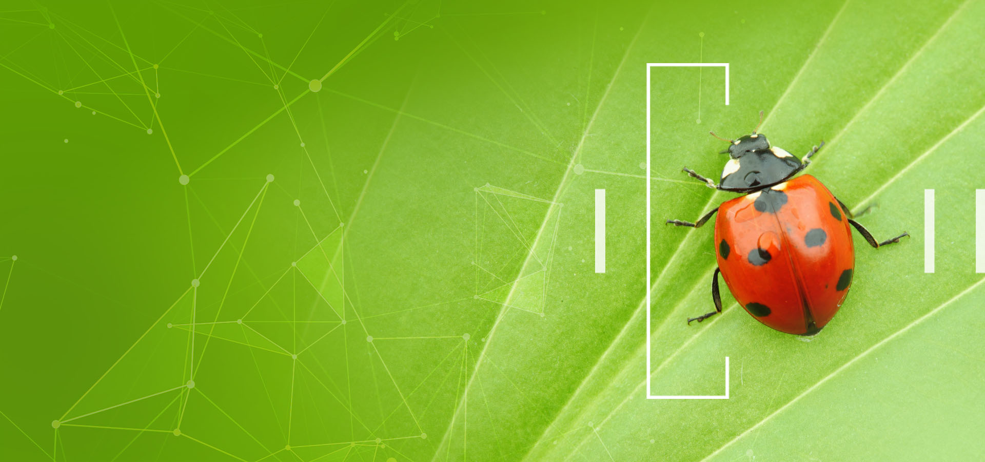 ESG Vision 2030: An approach towards sustainability